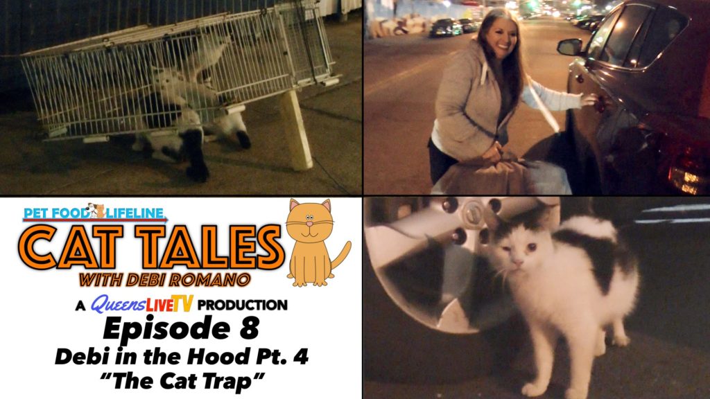 Cat Tales Episode 8: Debi in the Hood pt. 4 – “The Cat Trap”