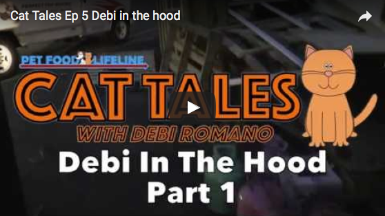 Cat Tales – Episode 5: Debi in the Hood Part 1